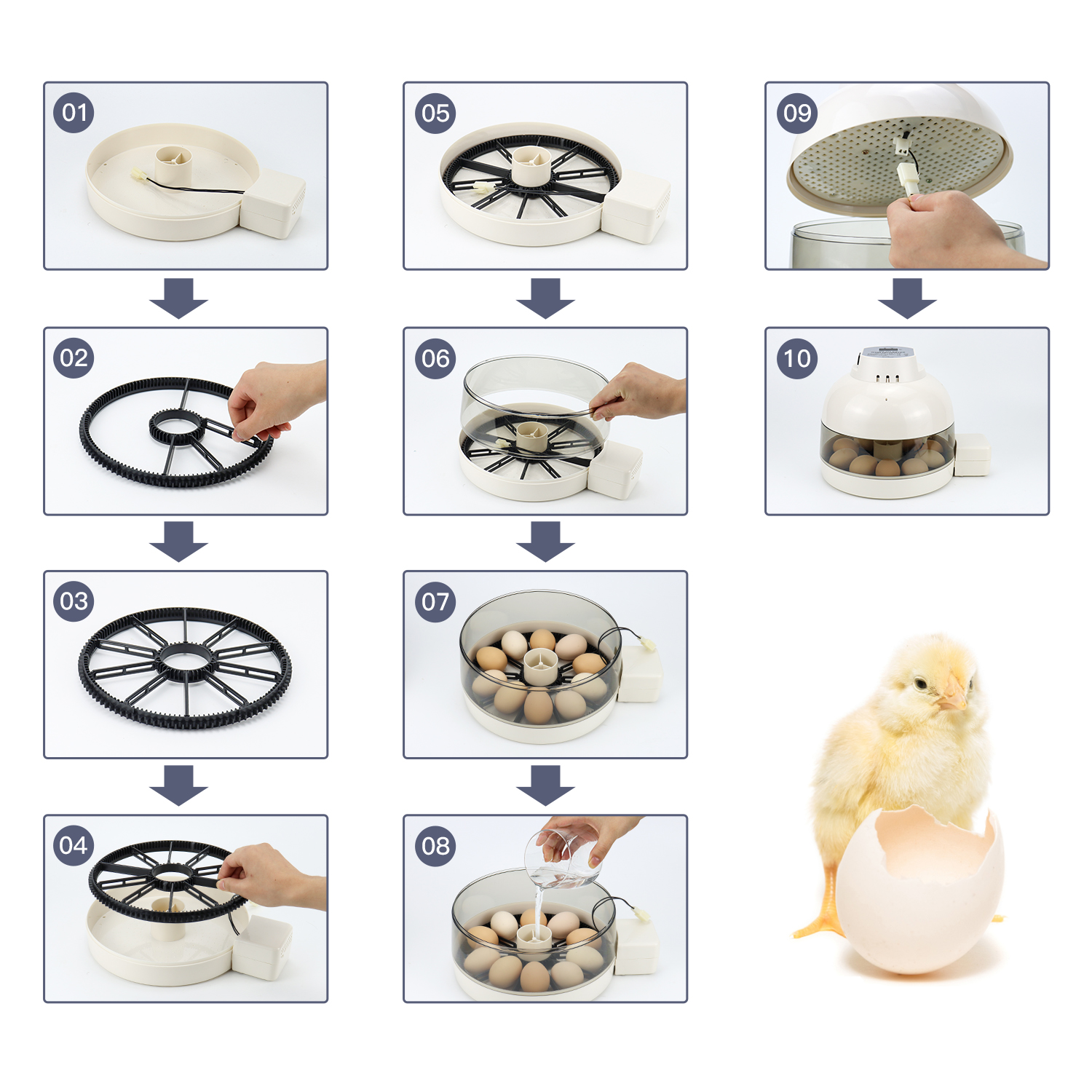 Incubator for Egg Precise Temperature and Humidity Control 10 Eggs