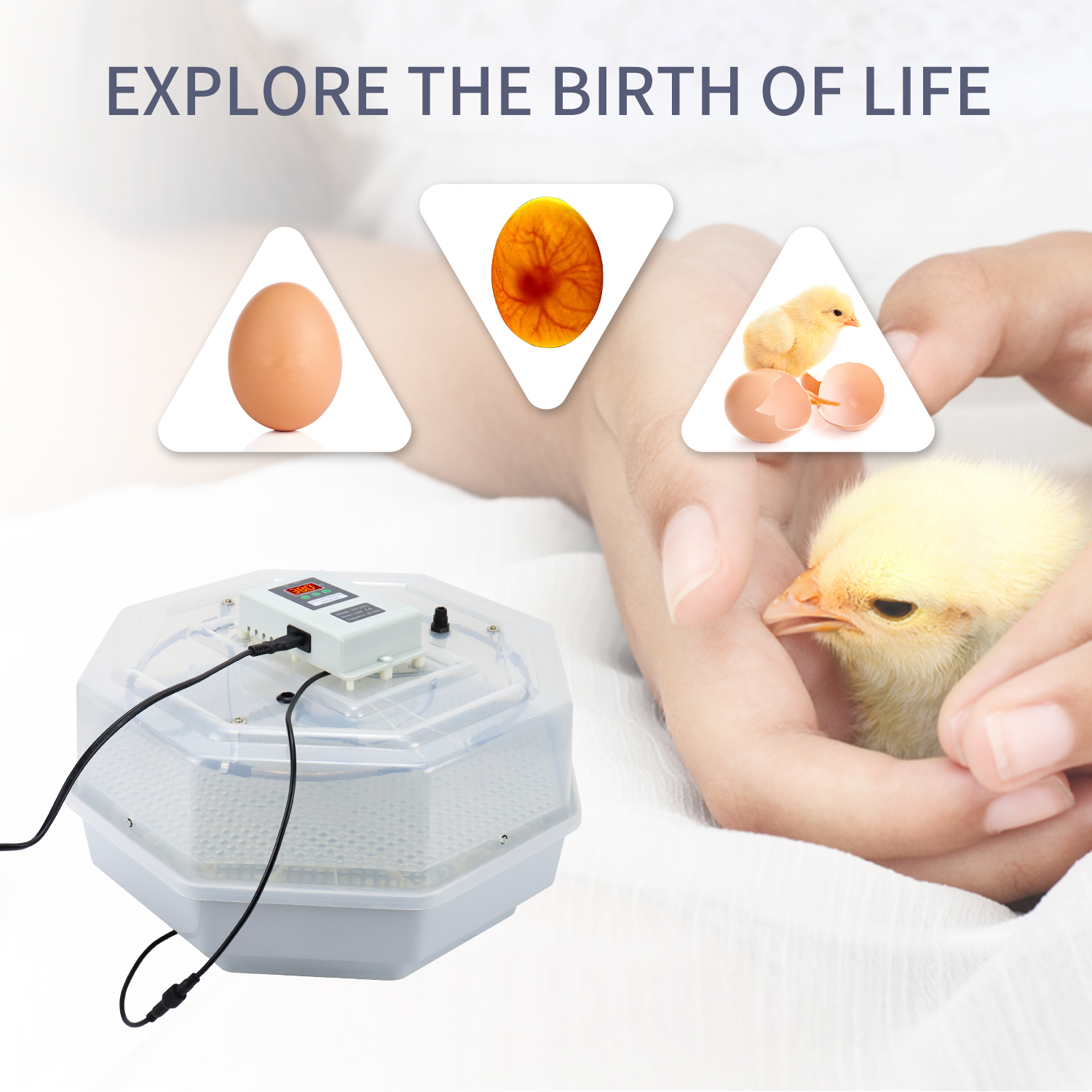 Multifunctional Automatic Incubator Constant Temperature 42 Eggs for Chicken Duck Quail