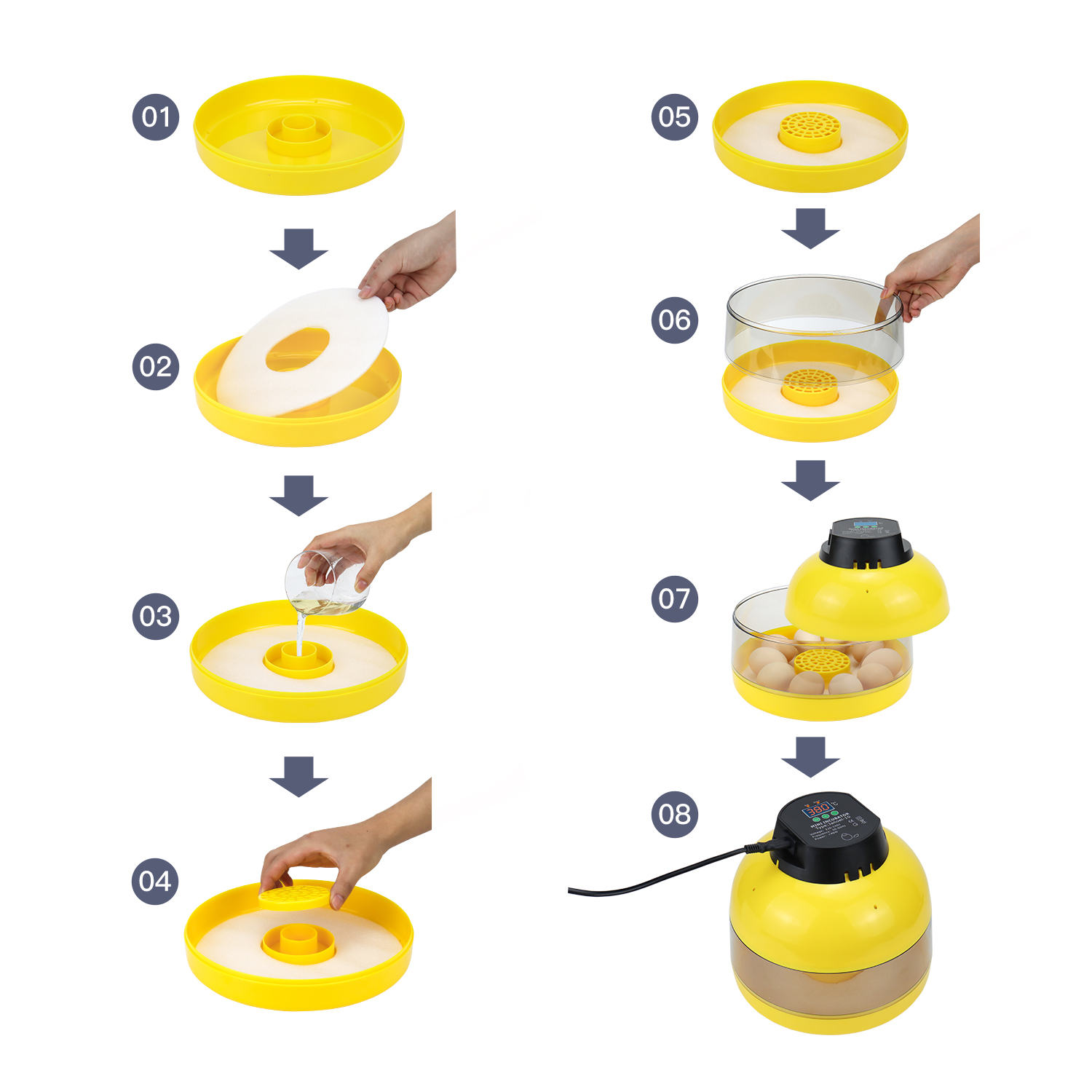 Mini Manual Incubator for Chicken Eggs