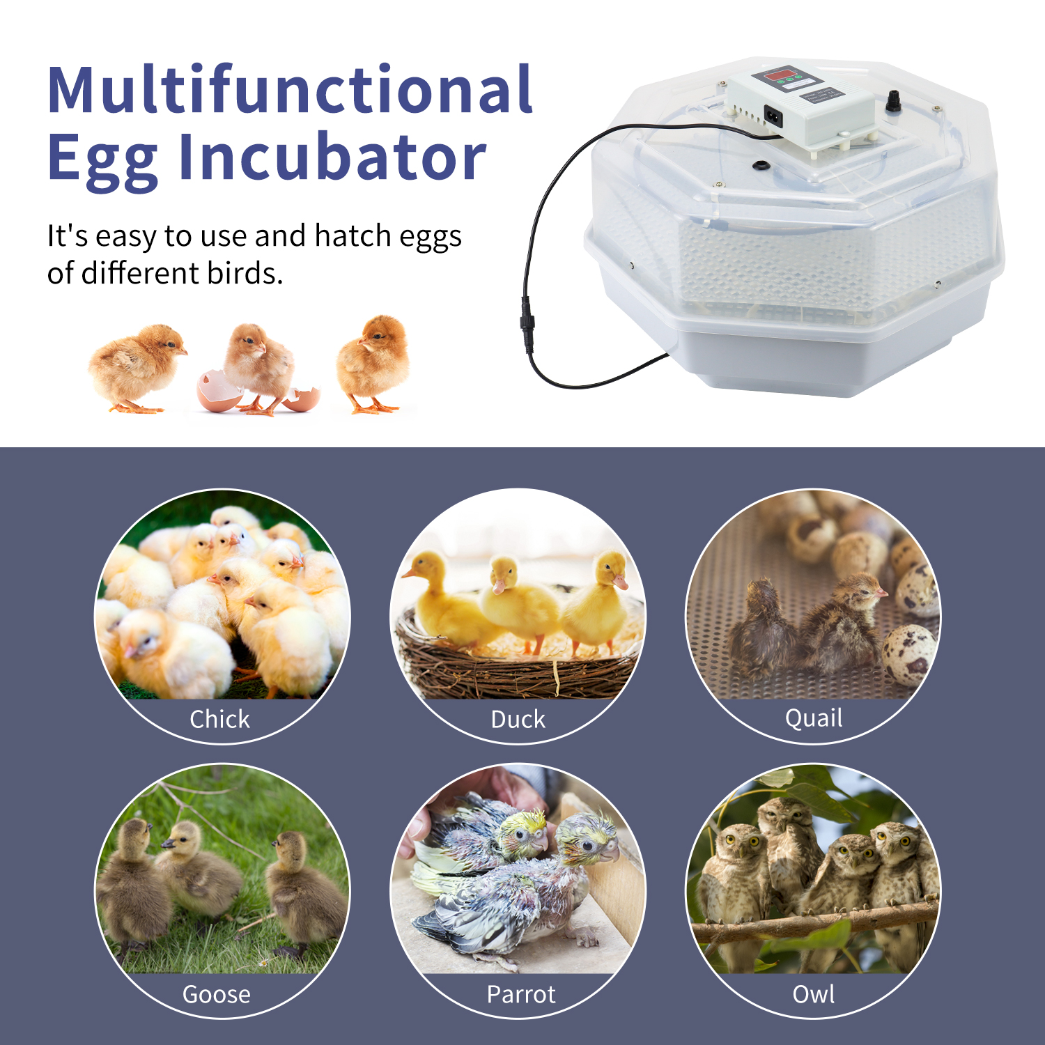 Multifunctional Automatic Incubator Constant Temperature 42 Eggs for Chicken Duck Quail