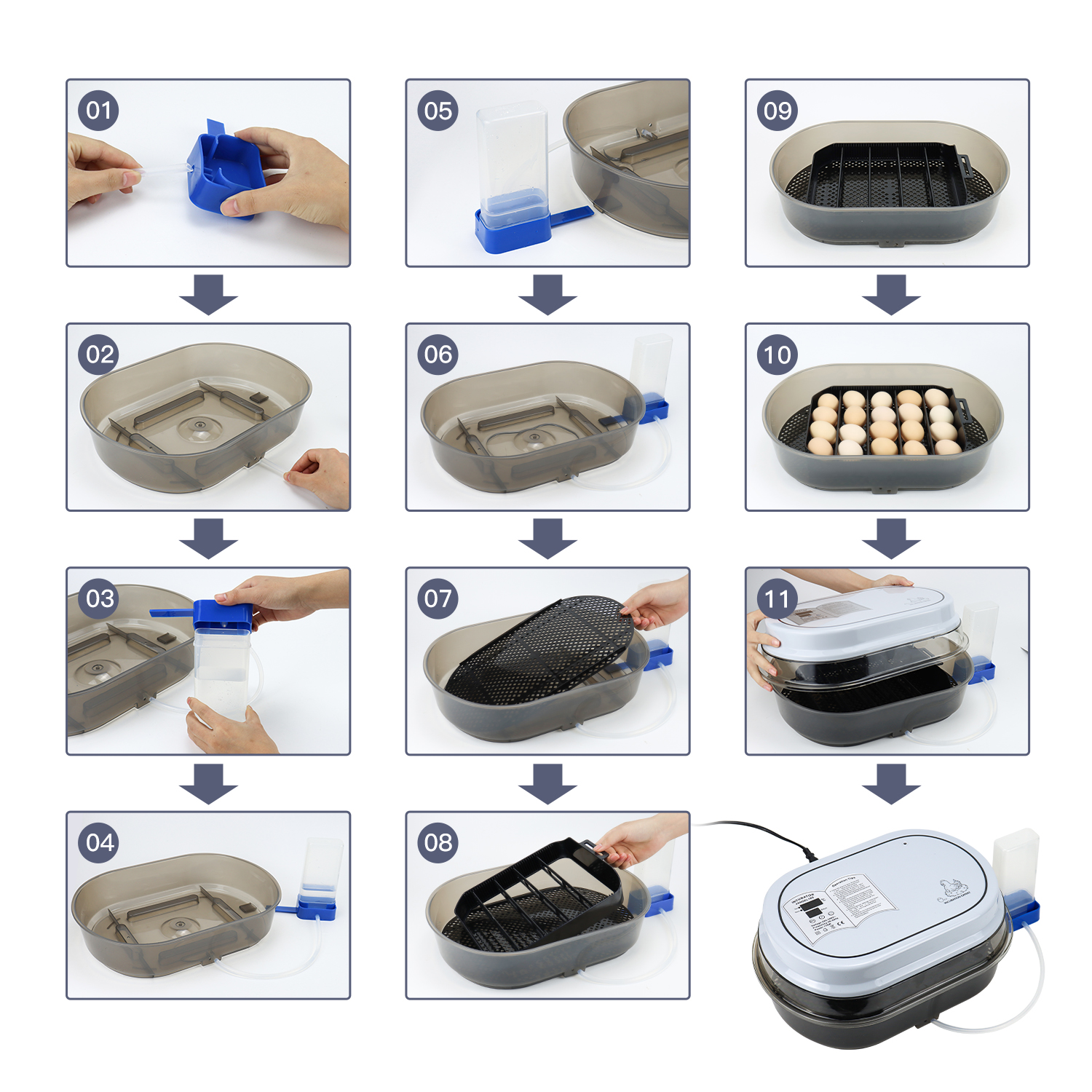 Small Hatching Machine 18 Eggs Automatic Mini Incubator Hatching Chicken for Hatching Eggs