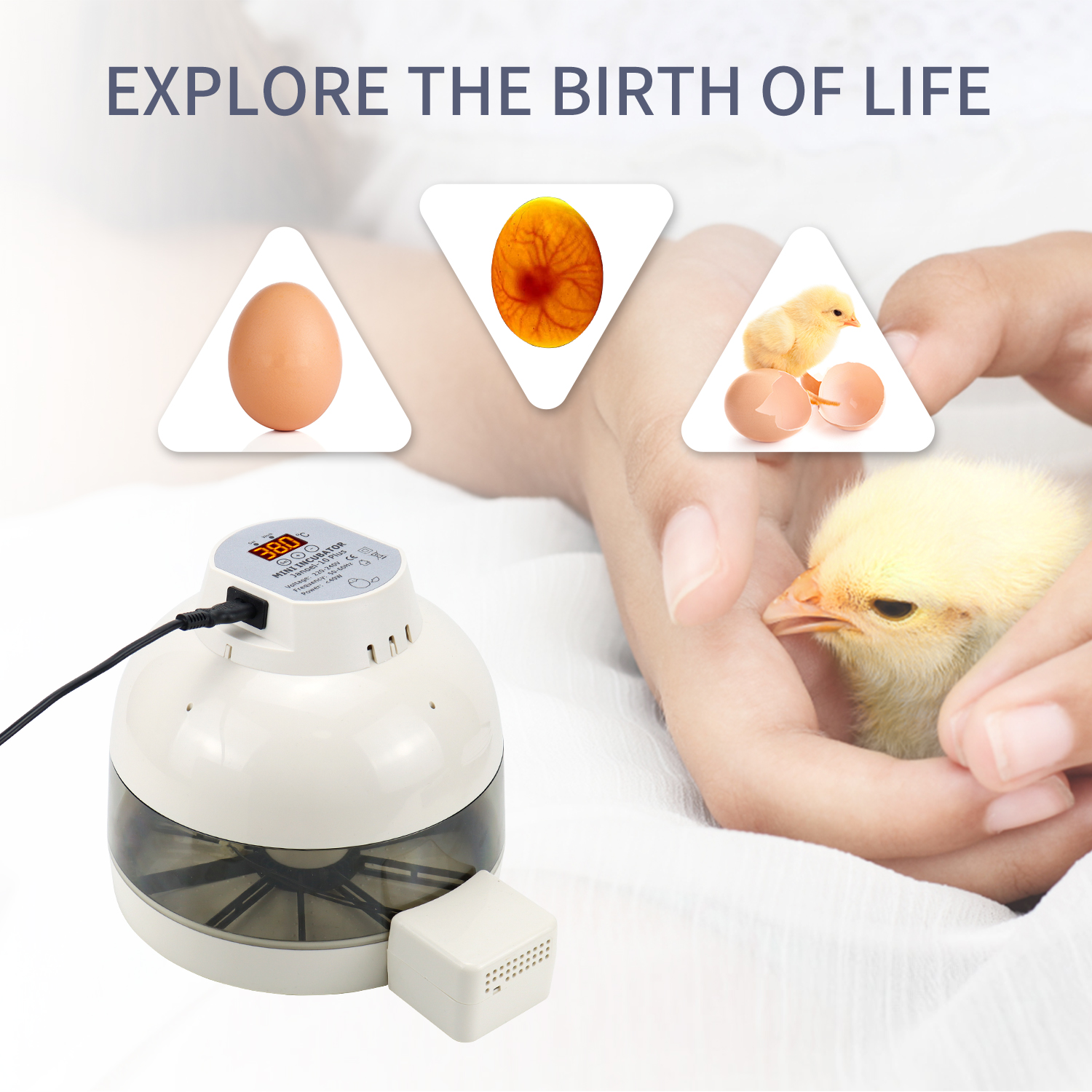 Incubator for Egg Precise Temperature and Humidity Control 10 Eggs