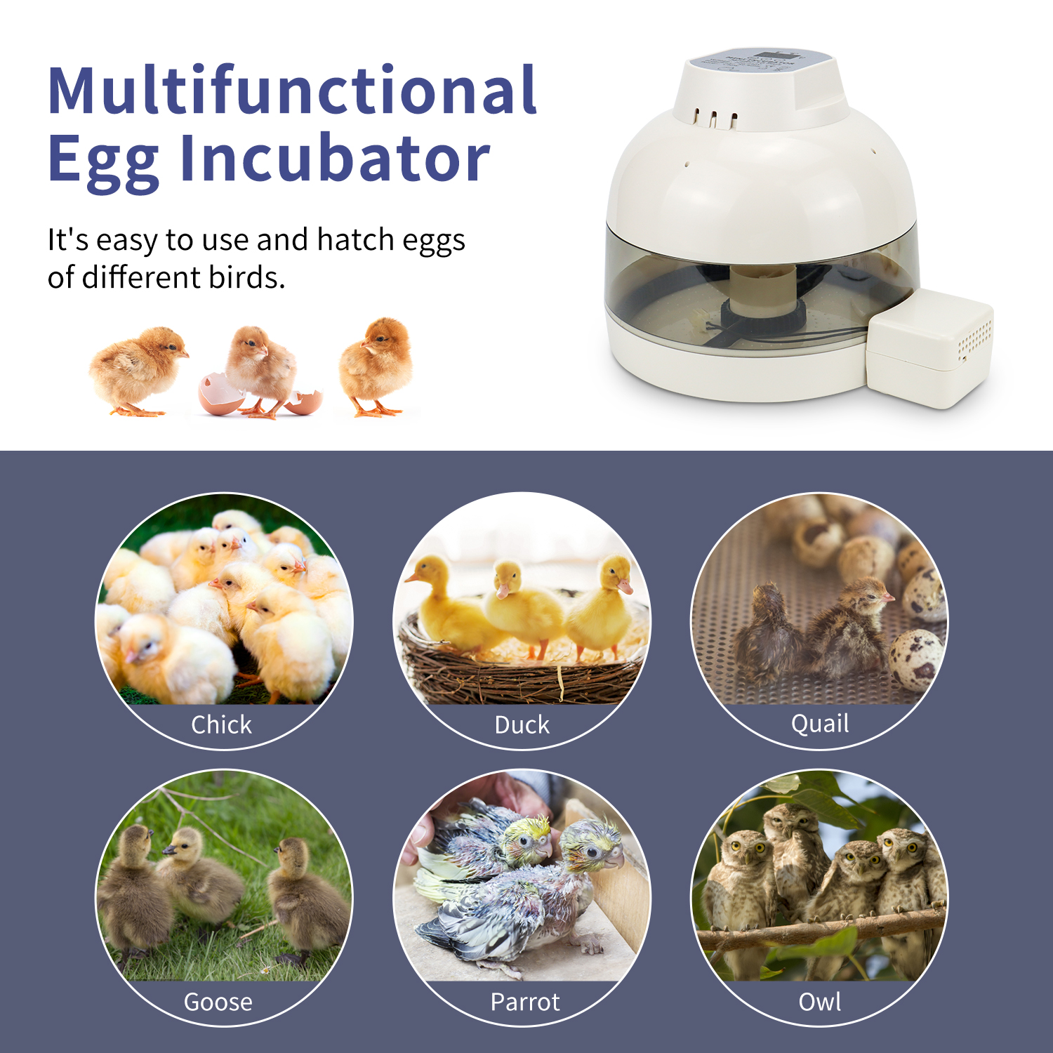 automatic incubator