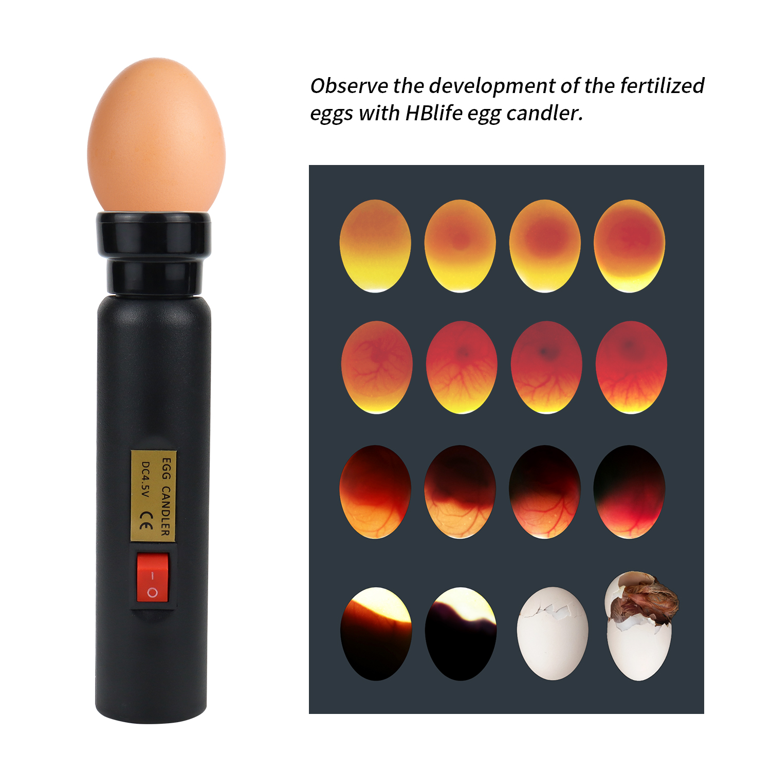 Egg Candler Tester High Intensity Cool LED Light Battery Box