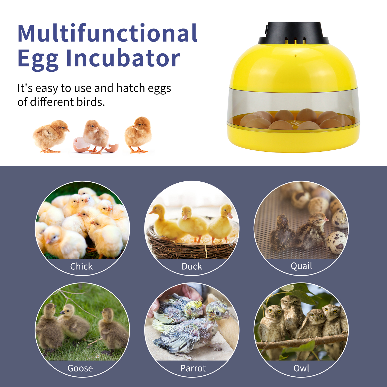 mini incubator