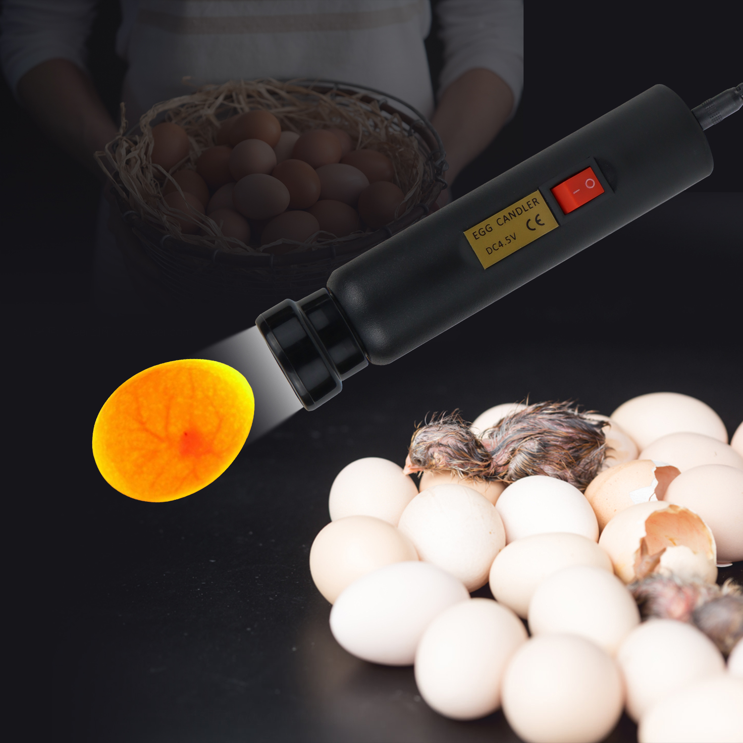Egg Candler Tester High Intensity Cool LED Light Battery Box
