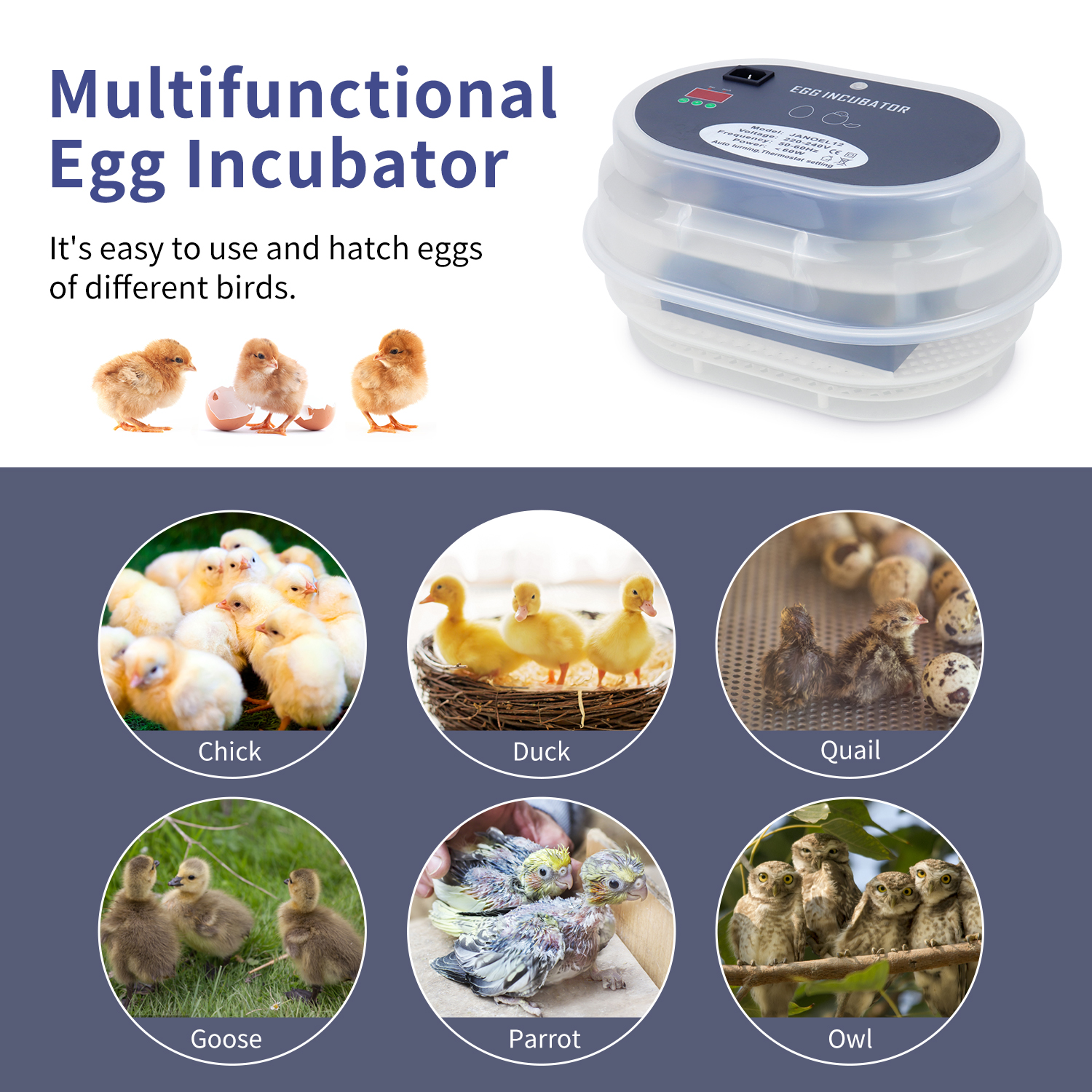 automatic incubator