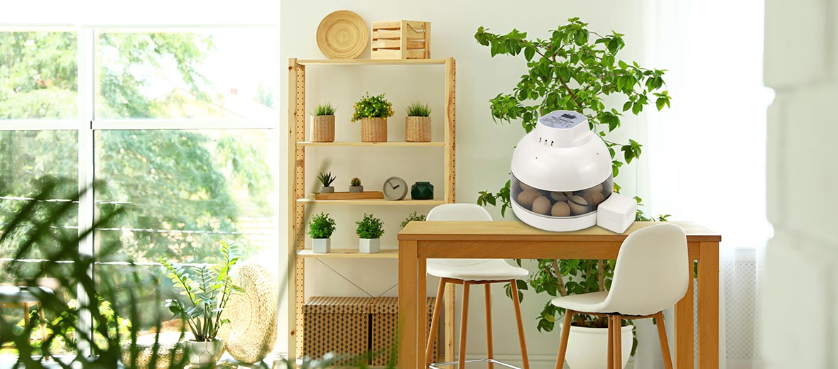 Introducing our Mini Incubator: An Educational Companion for Family Living