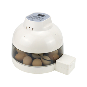 10 Eggs Incubator Automatic Egg Turning for Chicken Duck Quail