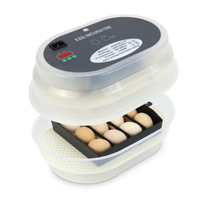 Mini Automatic Egg Incubator Hatching Machine 12 Eggs for Chicken Duck