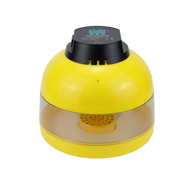 Mini 10 Egg Incubator Chicken Quail Duck Eggs Incubator for Home Use on Sales