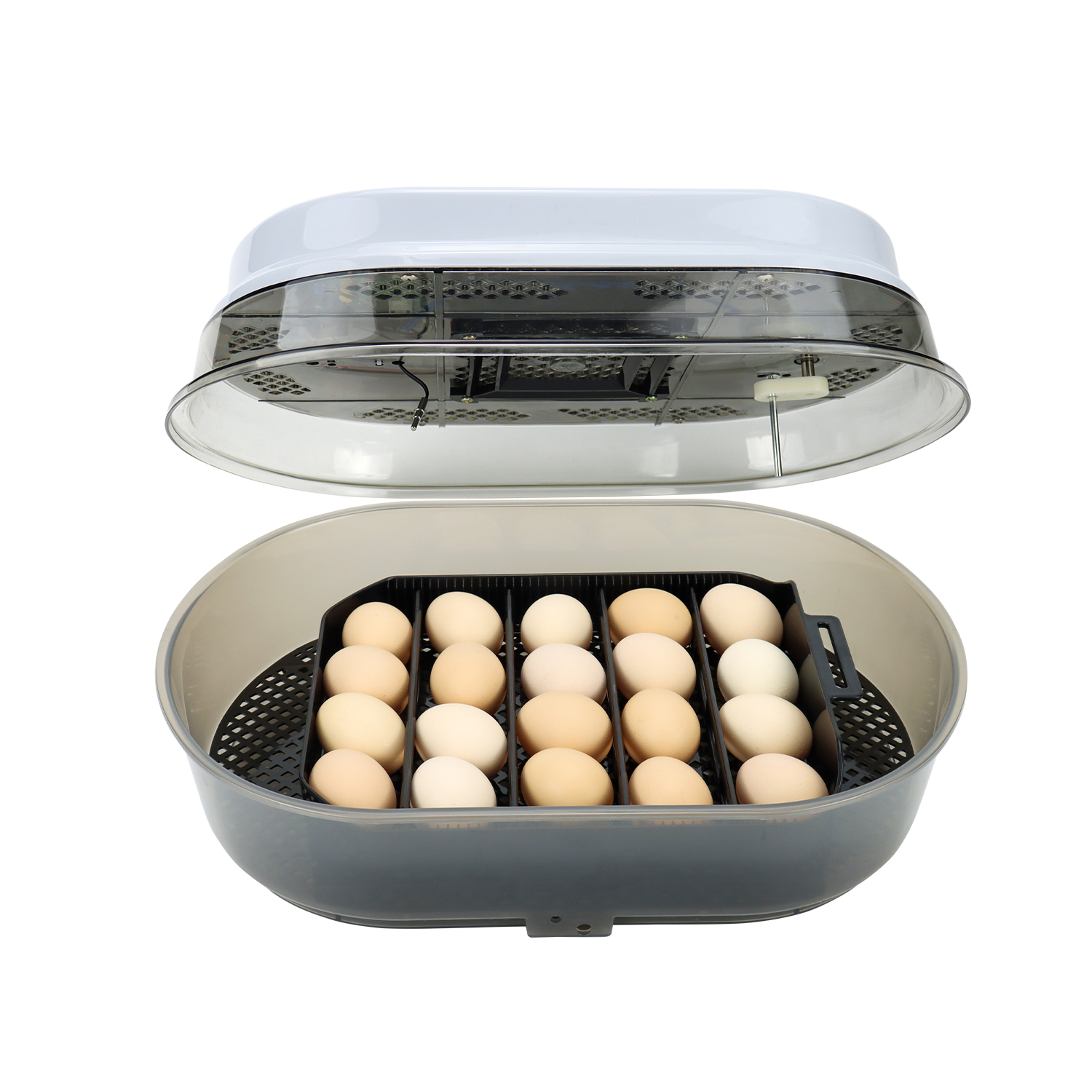 Small Hatching Machine 18 Eggs Automatic Mini Incubator Hatching Chicken for Hatching Eggs