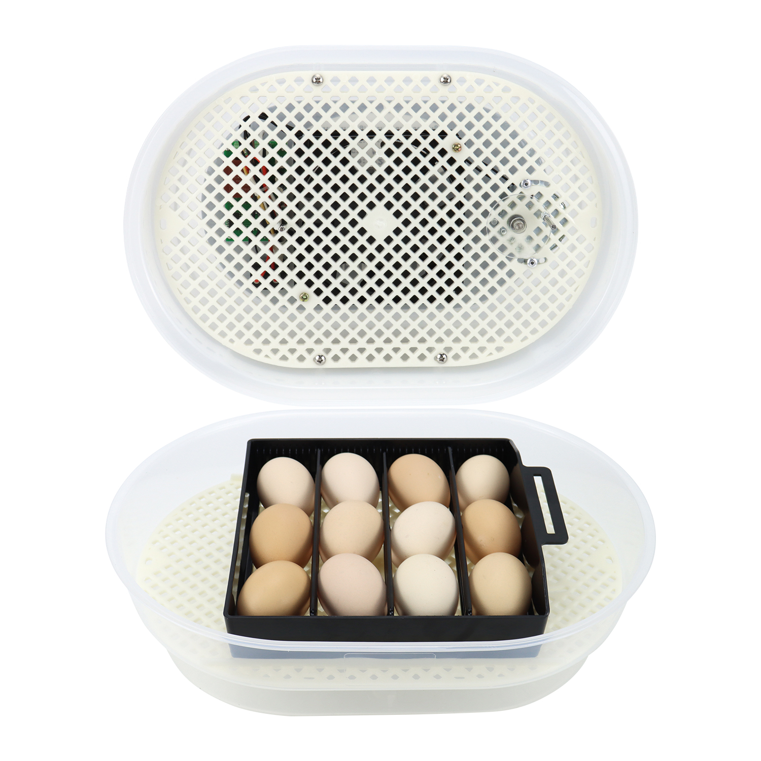 Automatic Mini Egg Incubator 12 Eggs Brooding Machine for Chicken Duck Quail
