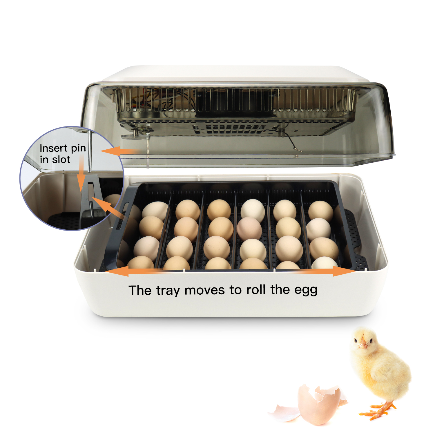 24 Eggs for Chicken Duck