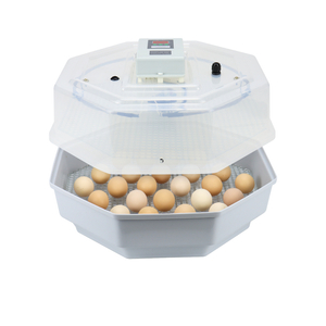 automatic incubator 42 eggs for chicken duck quail bird eggs for home