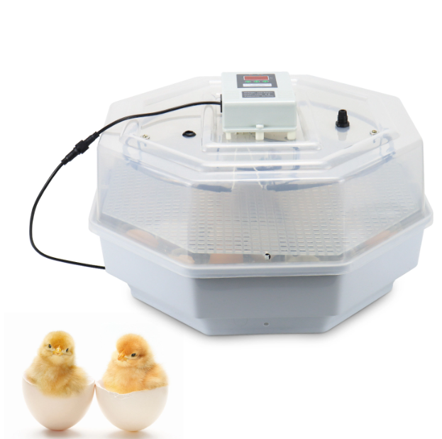 What Is An Automatic Incubator？