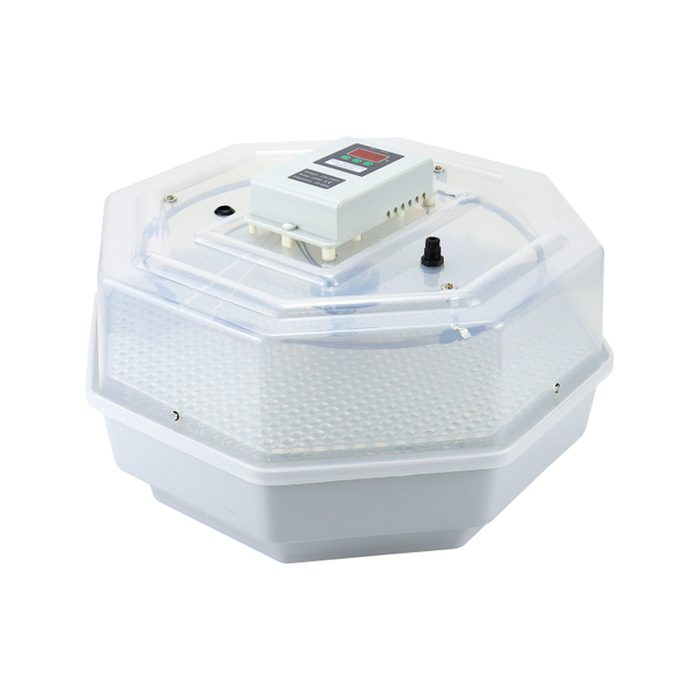 automatic incubator 42 eggs for chicken duck quail bird eggs for home